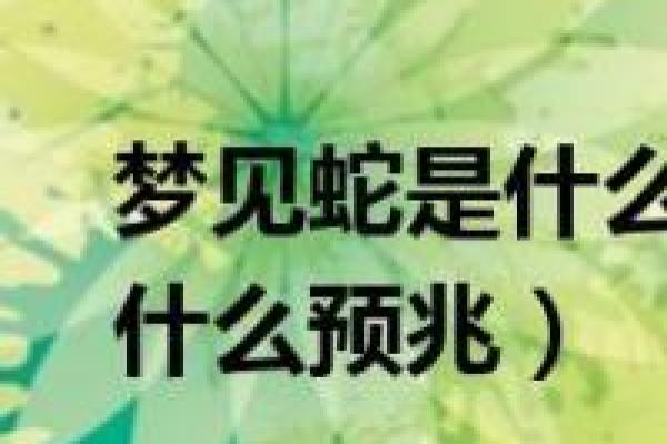 梦到蛇的含义及其预兆解析