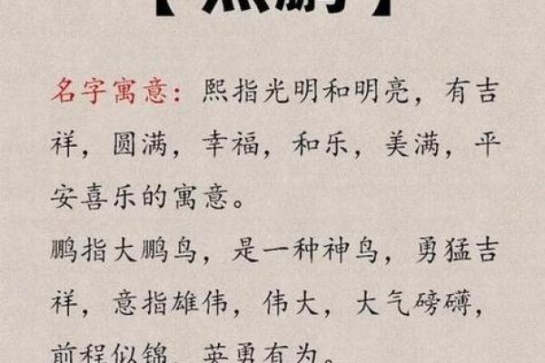 探索涵字取名背后的深刻寓意与文化意义